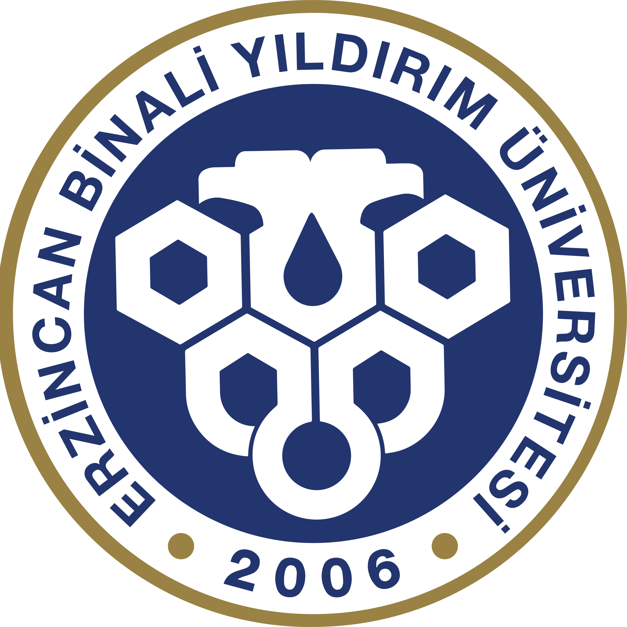 Erzincan Binali Yıldırım Üniversitesi Kurumsal